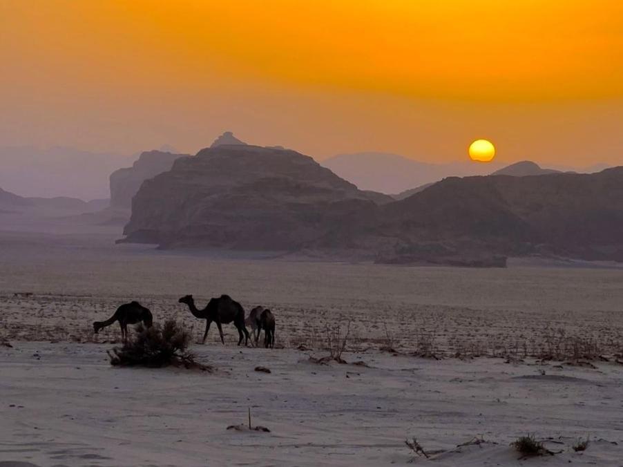 White Desert Camp วาดิรัม ภายนอก รูปภาพ