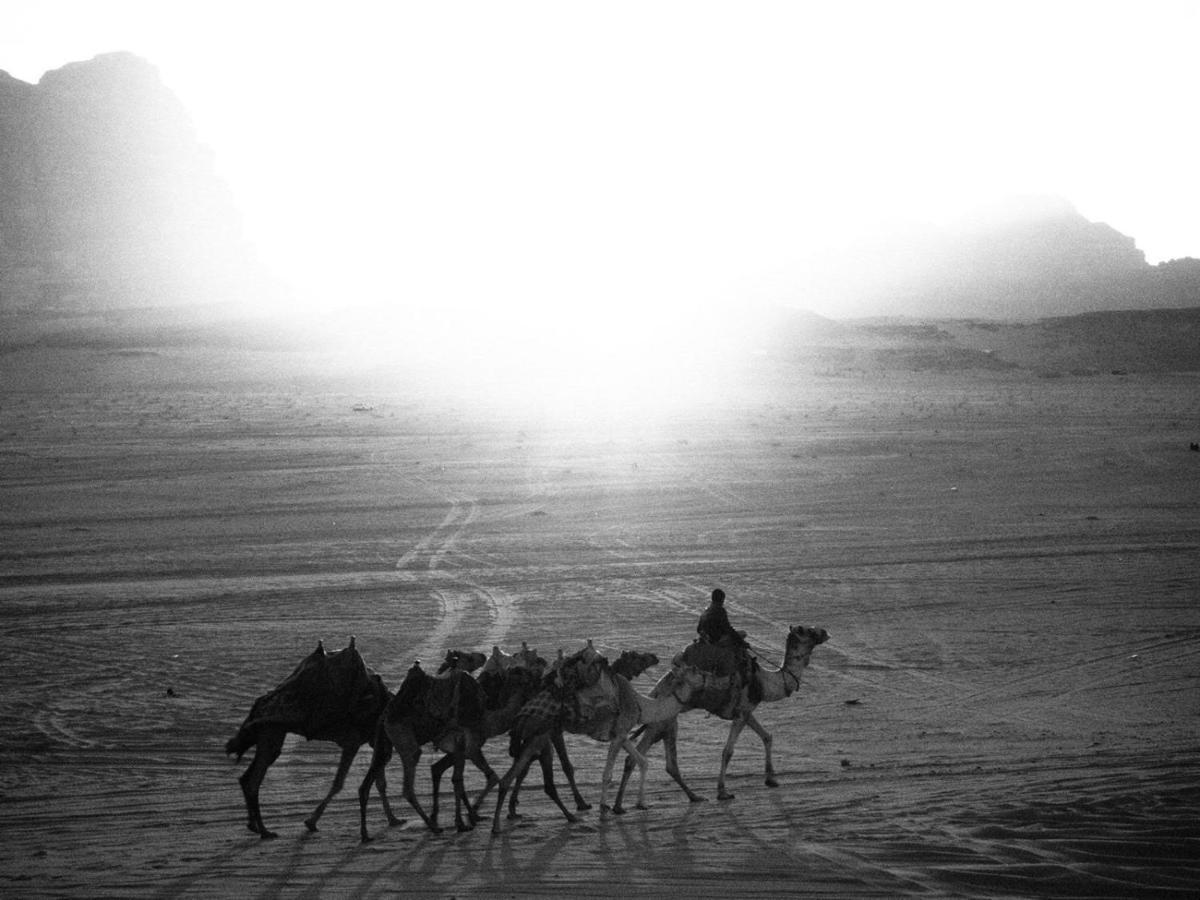 White Desert Camp วาดิรัม ภายนอก รูปภาพ